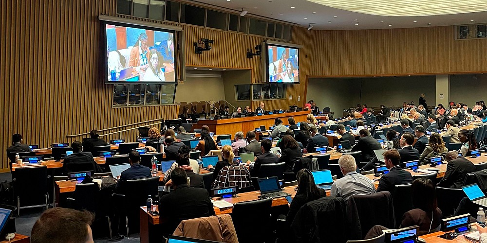 Policy Engagement at the UN OEWG 2025